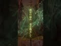 沈香（じんこう）｜痛みが香へ、そして祈りへ