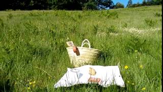 Picnic en campo de primavera en Garabelos