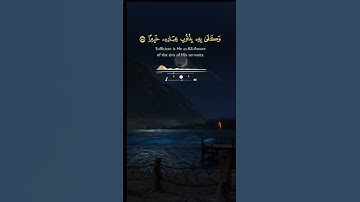 الشيخ خالد الجليل | تلاوة خاشعة تأسر القلوب ❤️📖 #قران_كريم #اكسبلور #يوتيوب #خالد_الجليل