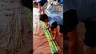Traditional Large-Scale Betel Leaf Wrapping and Storage Technique
