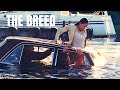 The Breed 2006 Film Explained In English Movie Recap 