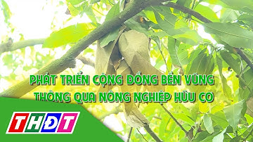 Phát triển cộng đồng bền vững thông qua nông nghiệp hữu cơ | Tái cơ cấu nông nghiệp | THDT