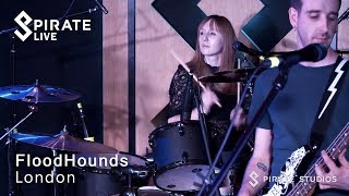 FloodHounds - 'Stepping Stone' // Pirate Live // Pirate Studios