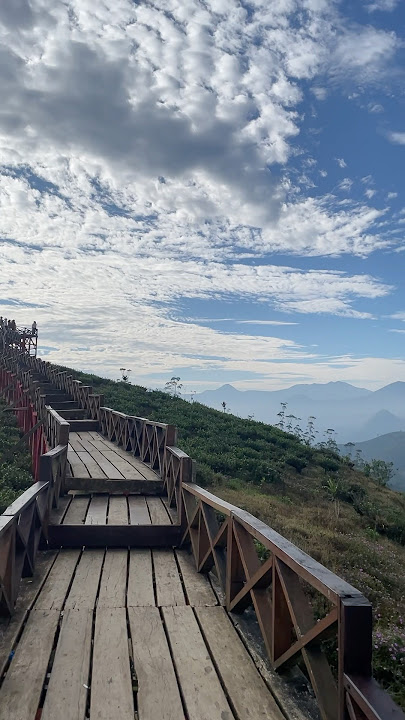 Nature 🍃 | 📍Taman Langit Pangalengan, Bandung, Indonesia