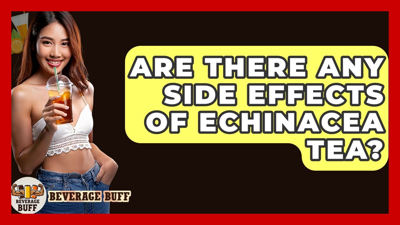 Are There Any Side Effects Of Echinacea Tea? - Beverage Buff