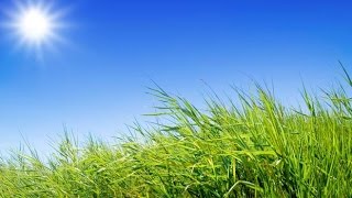 Mostly sunny and dry