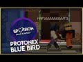 protonex - Blue Bird - SPVISION IV Semi-Final - СПВИДЕНЬЕ 4 сезон Полуфинал