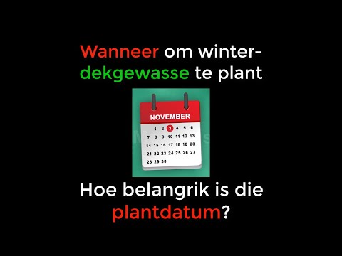 Video: Wanneer om in 2020 blomme vir saailinge te plant?