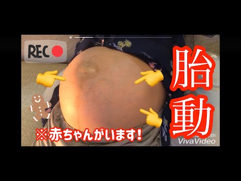 【胎動】belly movements long ver.〜 赤ちゃんがお腹の中で動く様子☆