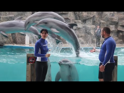 მიმართვა ბათუმის დელფინარიუმიდან - დარჩით სახლში, რათა უფრო მალე მოვახერხოთ ერთმანეთთან შეხვედრა