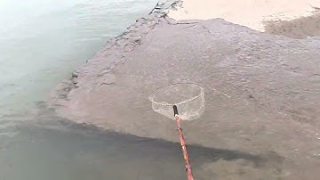 Phần 3 | kích cá cầu h áp tét thực tế 0985802199