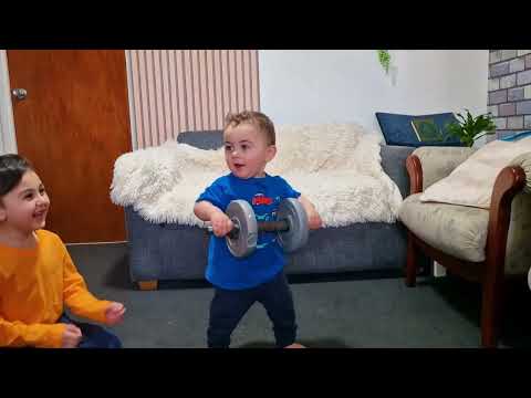 الصوص المدمر