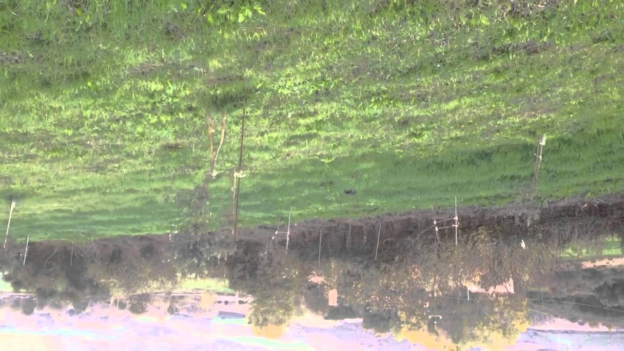 Cam Bagnetto Fasciatoio Pieghevole Cambio CONIGLIO C265 NOVITA
