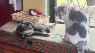 Episode 2:  How Dare You Touch Me There!