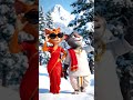 #cat #catshorts #catvideos #catlovers