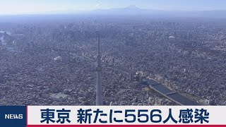 東京で556人の感染確認　小池知事「国と連携」（2021年2月2日）