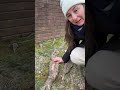 Feeling nature's patterns - exploring topographical roots with a rubbing #naturejournal