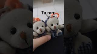 Clonando a teddy