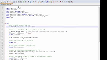 Python Openpyxl Pandas Data Frame .XLSX Files
