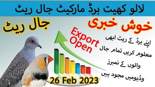 Lalukhet Sunday birds jaal Rates Update 26 February 2023 | Karachi Birds jaal price 26-02-2023