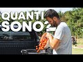 PRIMO GROSSO raccolto di POMODORI del MIO ORTO