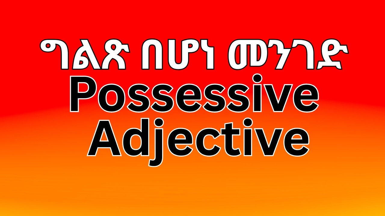 possessive adjective