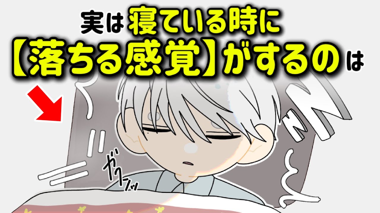 睡眠に関する雑学