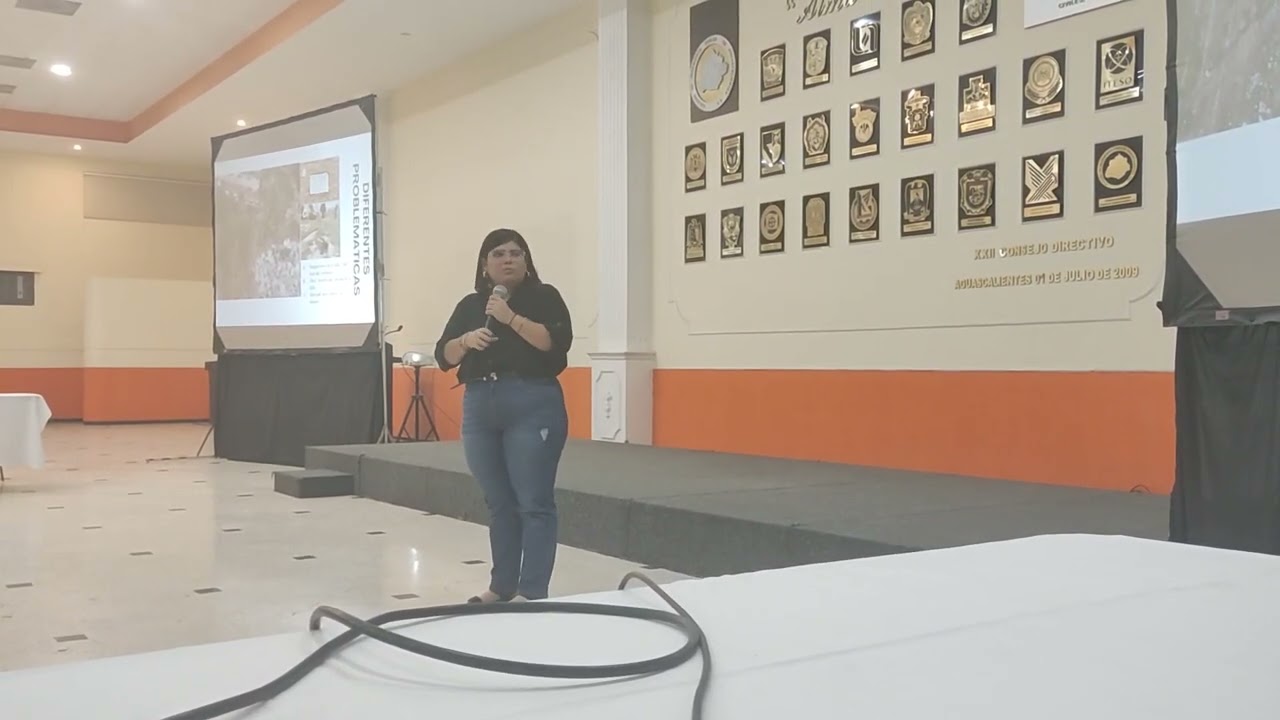 Caracterización del fracturamiento asociado a Subsidencia en la zona metropolitana de S.L.P