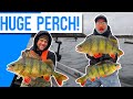 INSANE PERCH FISHING With LURES! 2 Huge PB&#39;S! Ft Thom Hunt