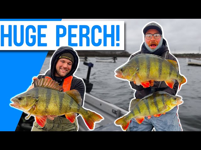 INSANE PERCH FISHING With LURES! 2 Huge PB'S! Ft Thom Hunt 