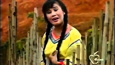 Ð-i Tím Hoa Sim - Tài Linh & S- Ben - YouTube.flv