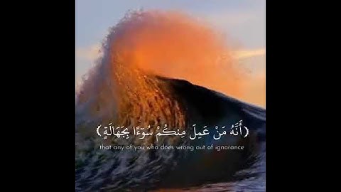 حالات واتس اب قران بصوت ادريس ابكر○كتب ربكم على نفسه الرحمة○حالات واتس اب دينية تلاوة مؤثرة