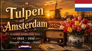 Tulpen uit Amsterdam | Klassieke Nederlandse Wals | Romantische Muziek uit de Jaren 1945–1950 🇳🇱