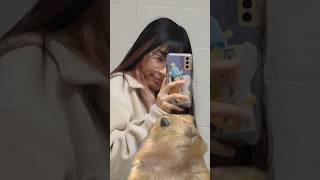 Celebrity Im feeling DRAMATIC🐿#meme #2000s #youtube #meme #nostalgia #shorts #fyp #trending #dramaticchipmunk Profile