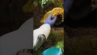 Searching For Wild Honey In Remote Mountain Areas Of Hainan Lingshui.