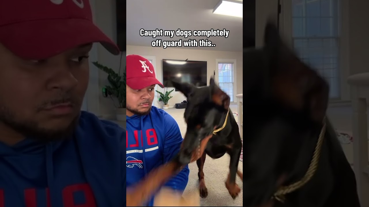 THE LOOK ON HIS FACE 😭💀😂 #shorts #reels #explore