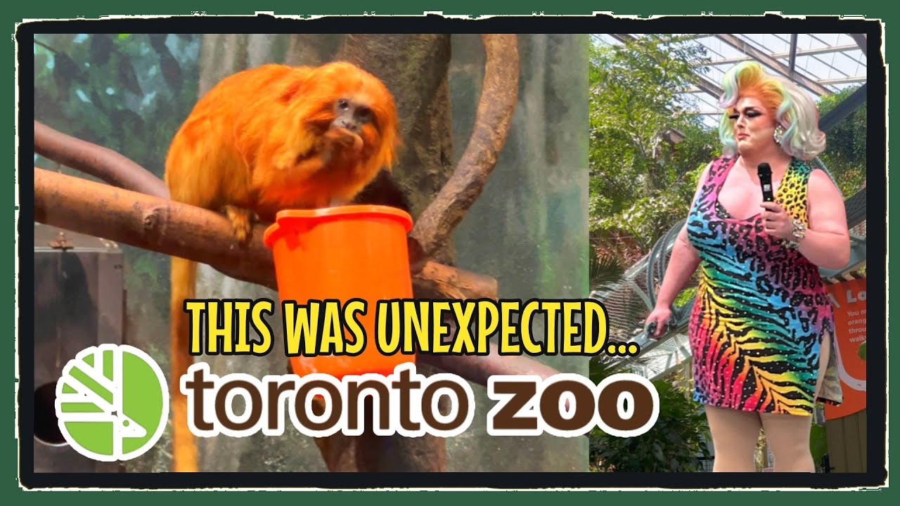 One Day at the Toronto Zoo... More Diversity Than I Expected!
