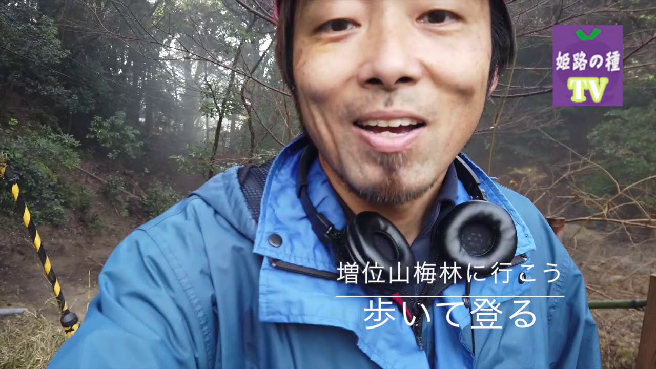 姫路周辺 梅園 梅林 梅まつり おでかけスポット５選２０２１ 開花情報も 姫路の種