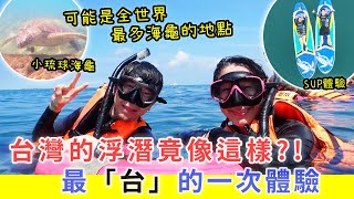 【移民台灣生活】台灣的浮潛竟像這樣 ?! 最台的一次體驗 | 小琉球可能是全世界最多海龜的地點。#小琉球 #浮潛 #海龜