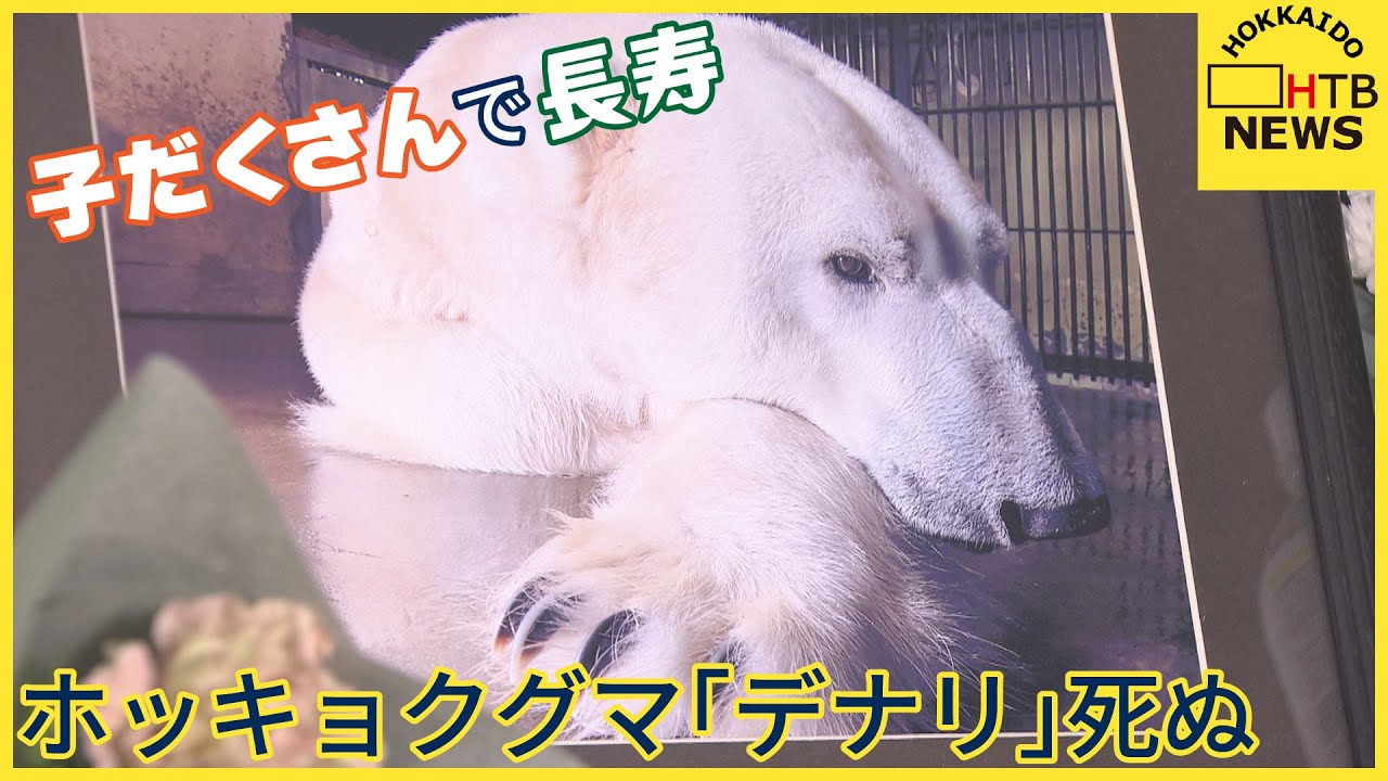 円山 動物園 動物 死に すぎ