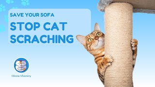 Save Your Sofa! Stop Cat Scratching with These Tips! by Meow Mastery 36 views 2 months ago 5 minutes, 3 seconds