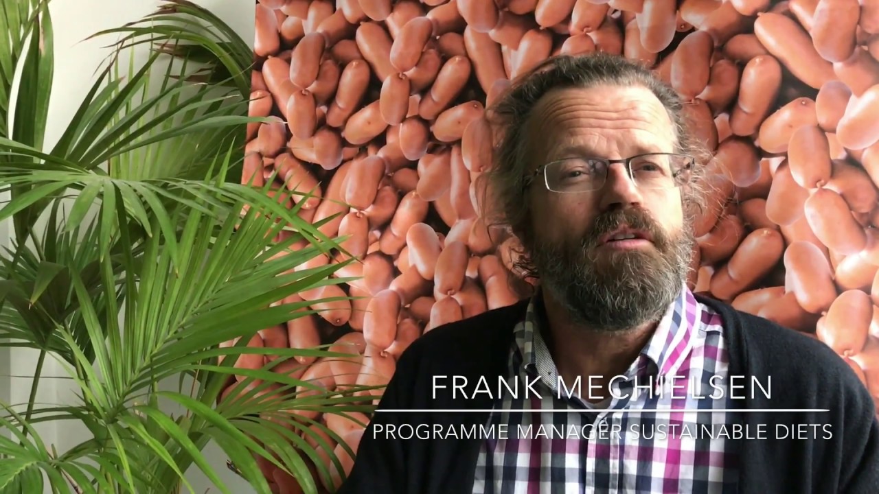 Presenting the AgriProFocus network: Hivos