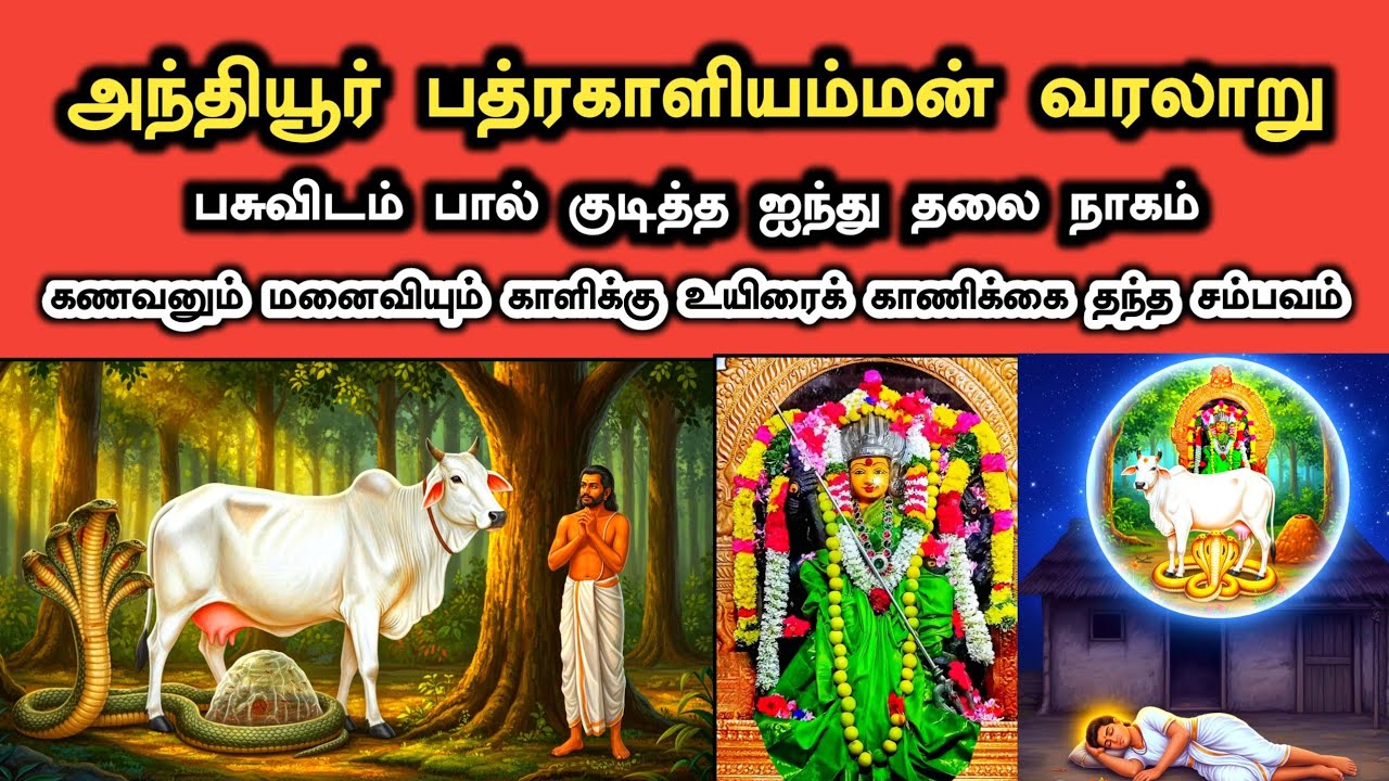 அந்தியூர் பத்ரகாளியம்மன் வரலாறு | Anthiyur Bathrakaliamman Temple History in Tamil