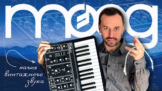 картинка: Moog Grandmother: честный обзор и демо от Димы 2Dcube