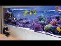 $1,000,499,000 HOME AQUARIUM TOUR! - Inside Dubai