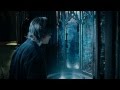 Леди Совершенство Леди Совершенство