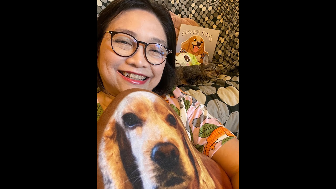 Lucky Dog Book By Chew Yeh YouTube lucky-dog-book-by-chew-yeh-youtube