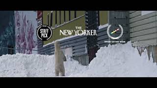Nuisance Bear   Official Trailer