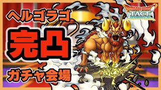 【ドラクエタクト】ヘルゴラゴ完凸PVP会場【廃課金】