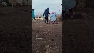 МАКСИМАЛЬНО ДЕРЕВЕНСКИЙ ВАЙБ ♥️